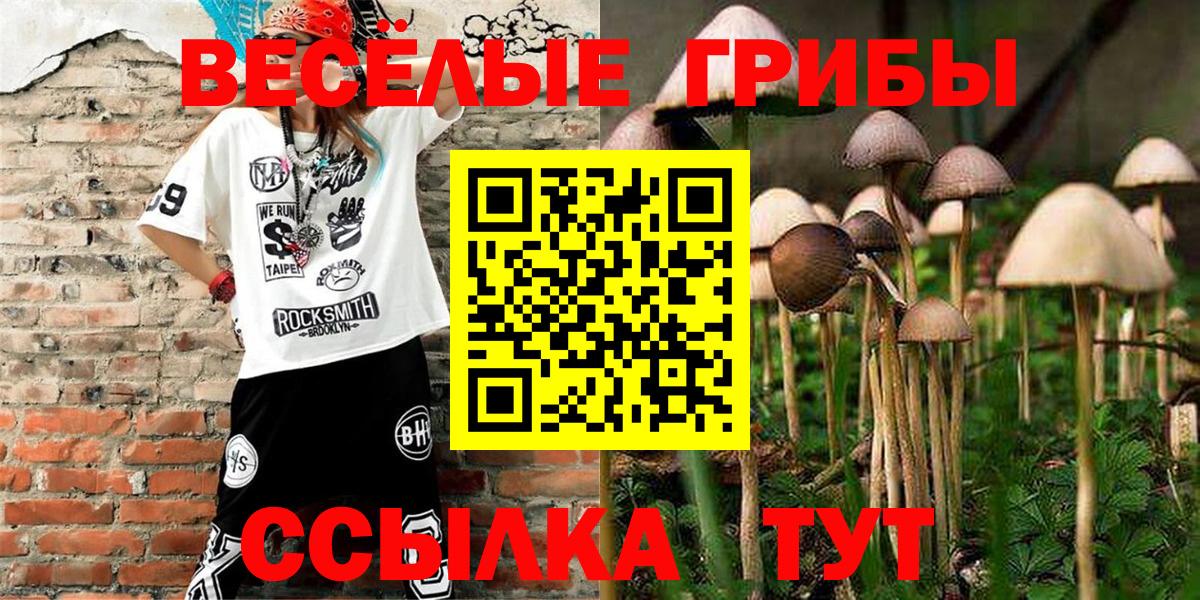 Галлюциногенные грибы Psilocybine cubensis Ульяновск